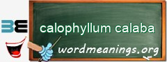 WordMeaning blackboard for calophyllum calaba